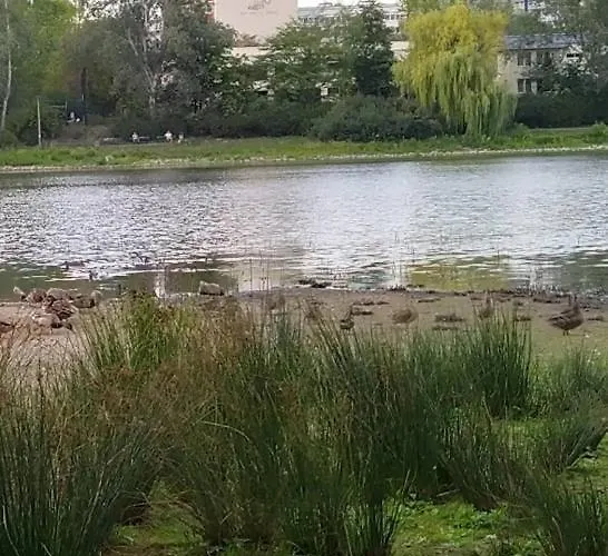 Einzelzimmer Single Appartement Leipzig