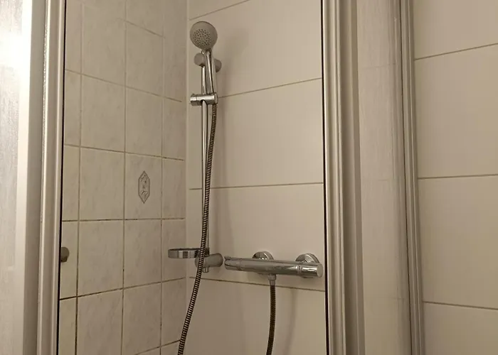Apartment Einzelzimmer Für Frauen Female Single Leipzig